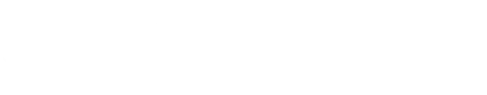 特定非営利活動法人ソーシャル・ネットワーク